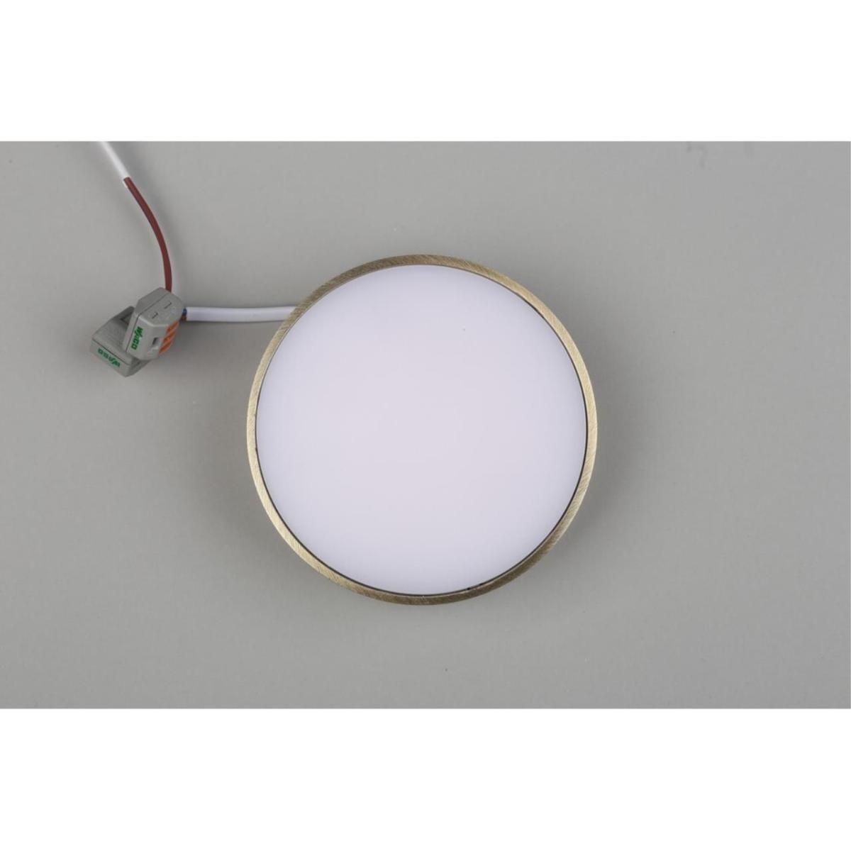 Потолочный светильник Aployt Evon APL.0113.29.12