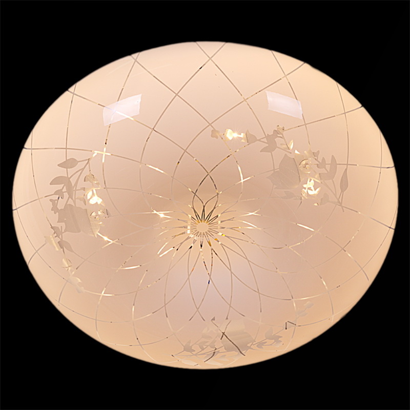 Потолочный светильник Reluce 03651-9.2-24W*2