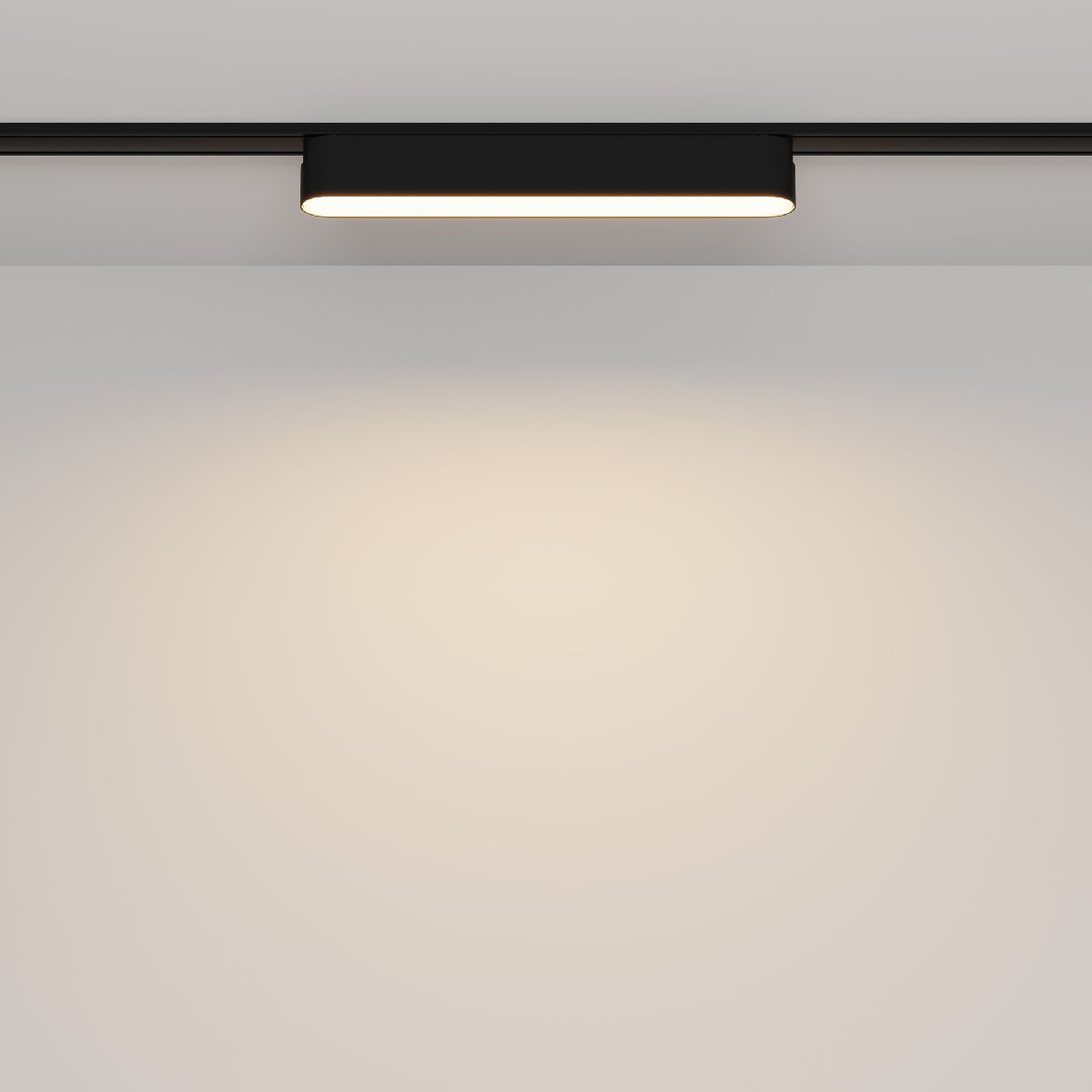 Трековый магнитный светильник Maytoni Basis TR080-1-12W3K-B