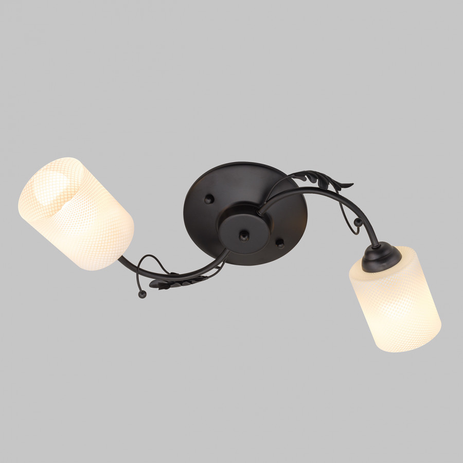 Потолочный светильник IMEX MD.0401-2-S-BK