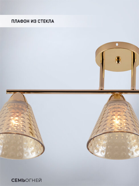 Потолочная люстра Seven Fires Fabius SF3391/3C-FGD-CL