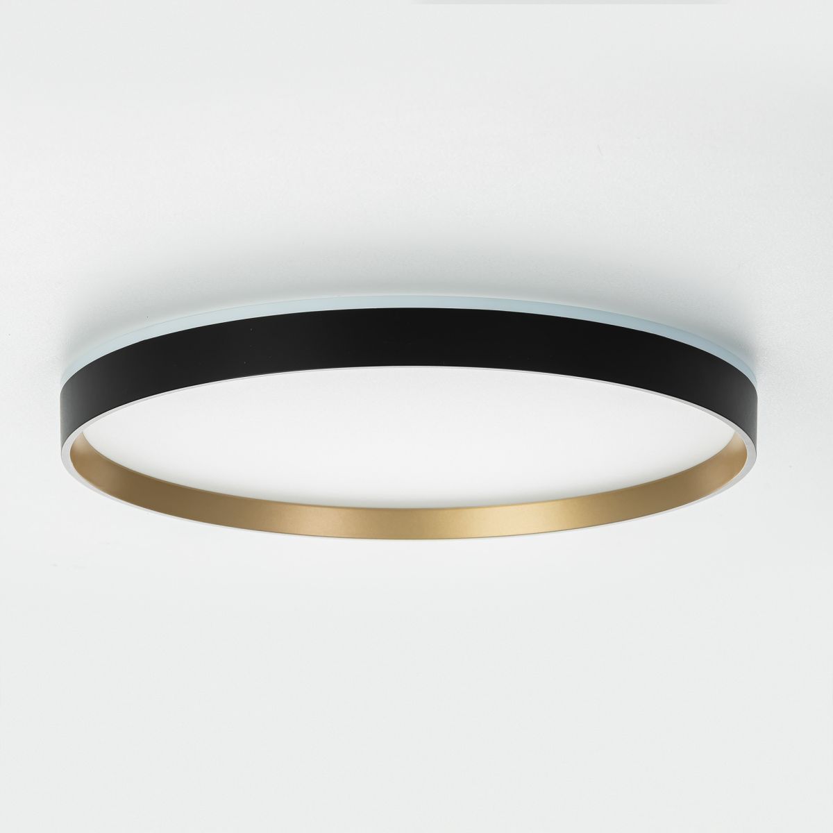 Потолочный светильник Citilux Etalon CL750401R