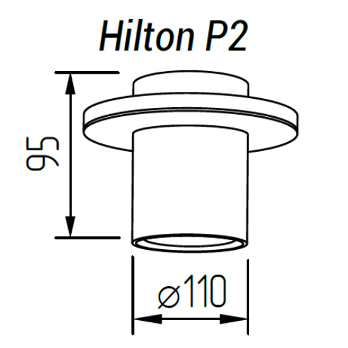 Накладной светильник TopDecor Hilton P2 12