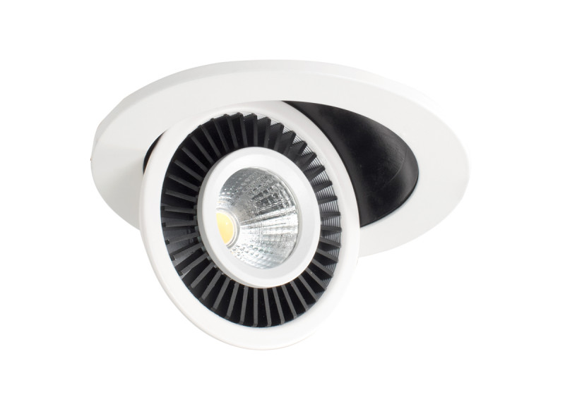 Встраиваемый светильник Donolux DL18463/01WW-White R Dim