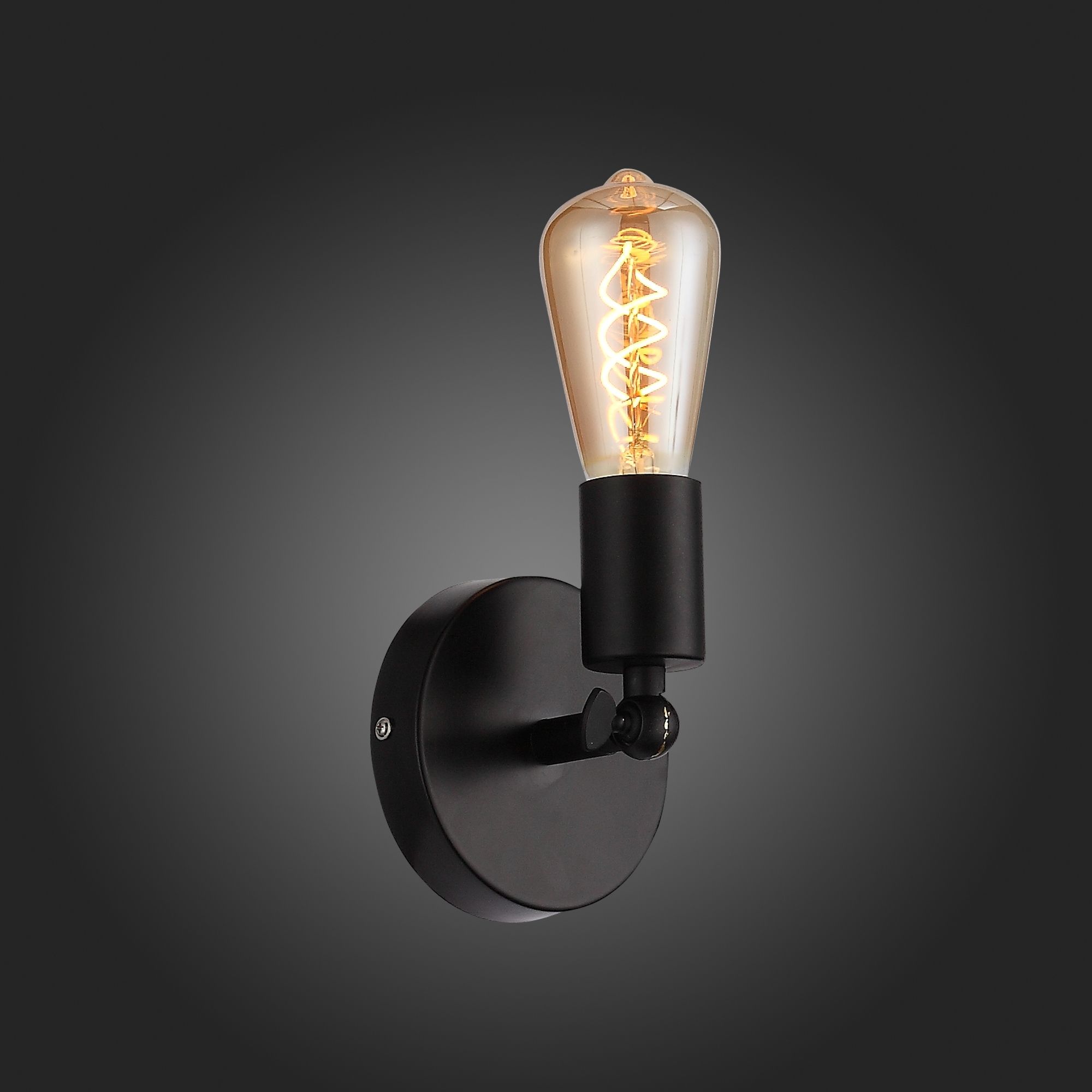 Спот ST Luce Ano SL419.401.01