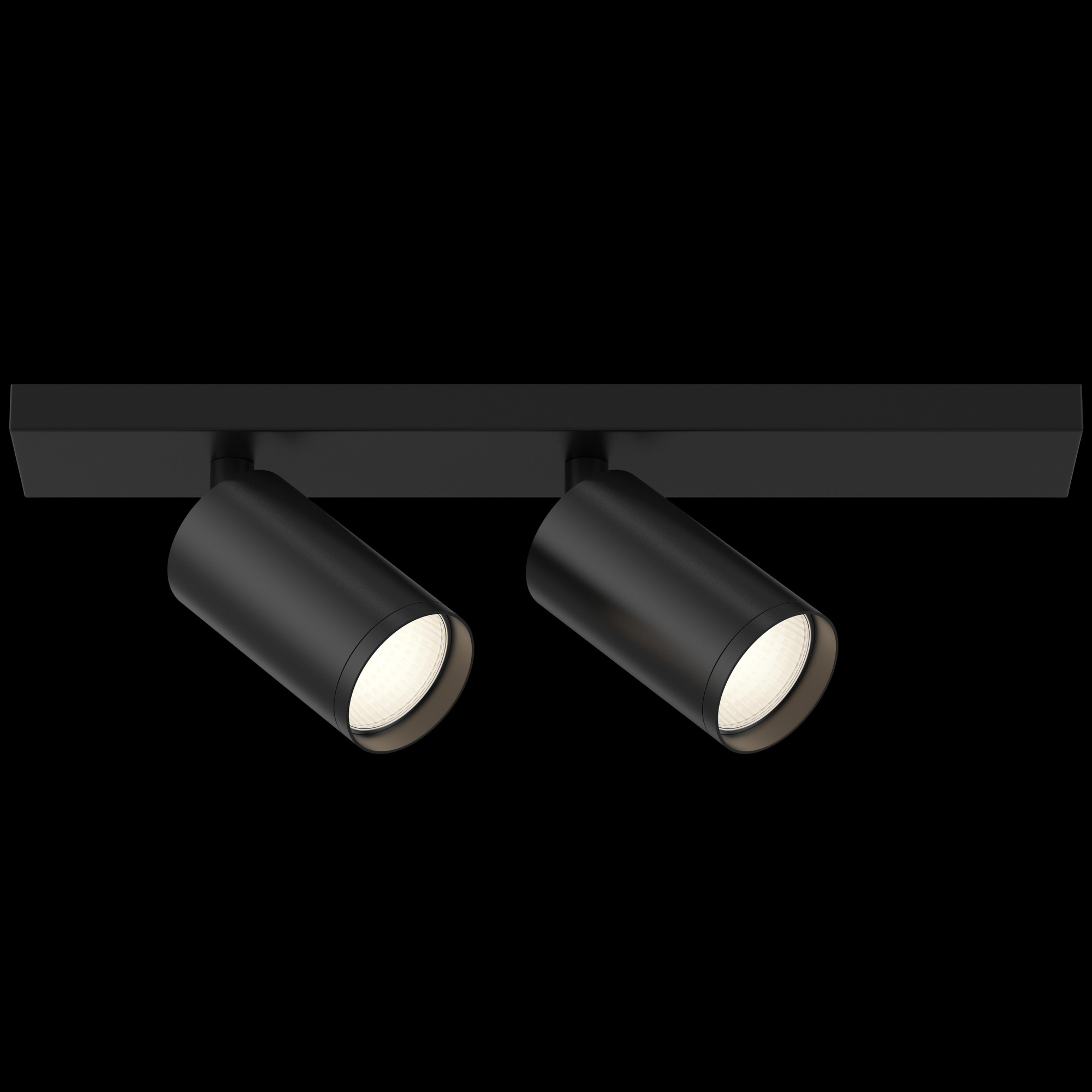 Потолочный светильник Maytoni FOCUS S C051CL-02B