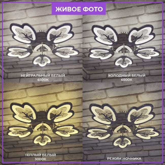 Потолочная люстра Wedo Light Agna 75267.01.03.05