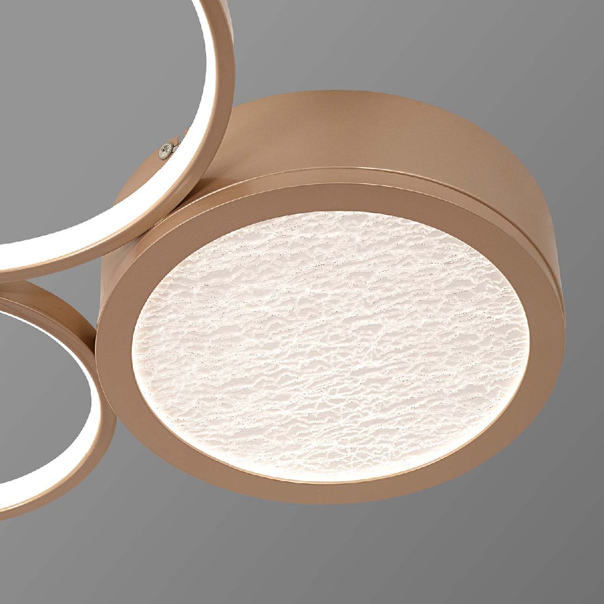 Потолочная светодиодная люстра F-Promo Campus 4681-3C