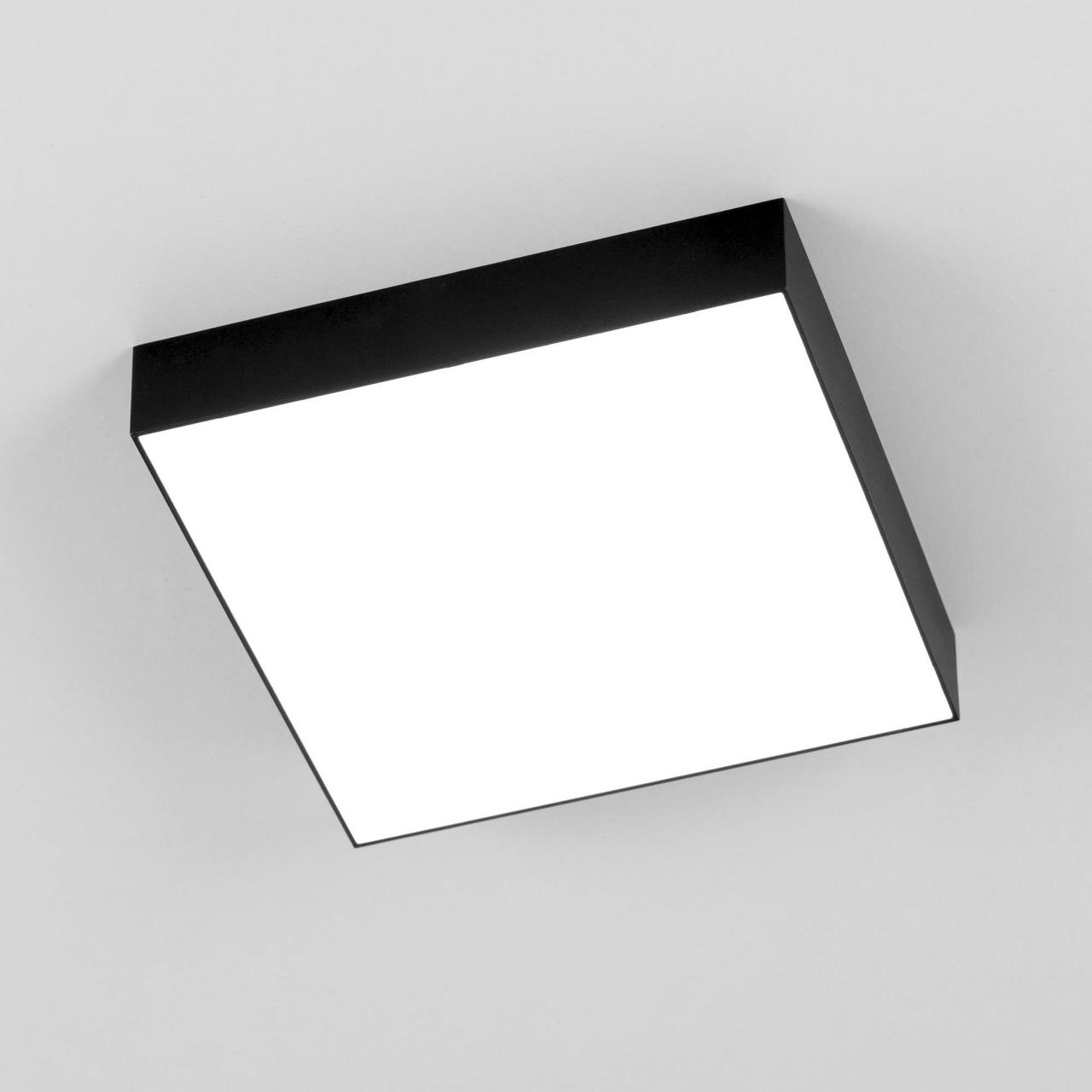 Накладной светодиодный светильник Citilux Тао CL712X242N в Москве