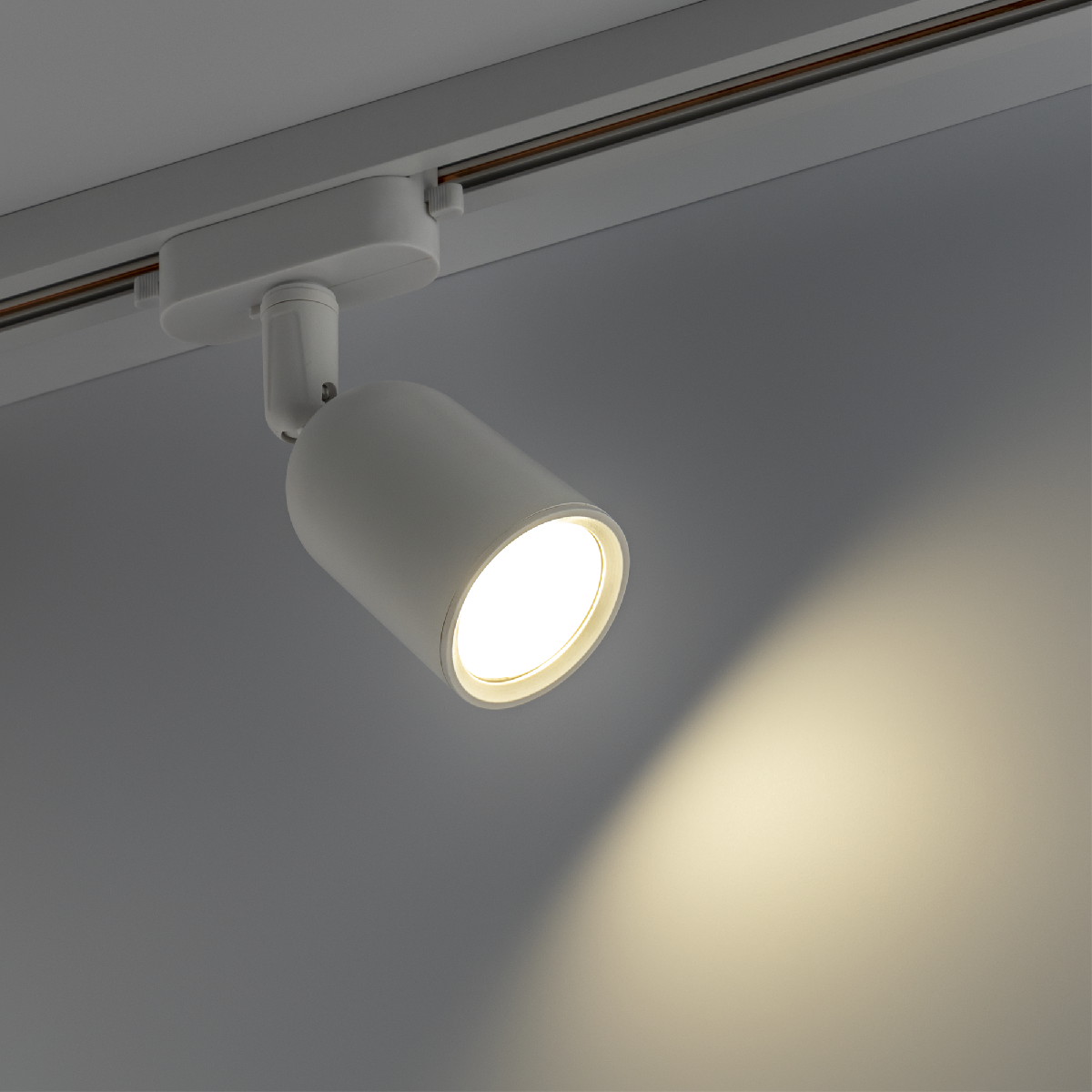 Трековый однофазный светильник Ritter Artline 59869 9