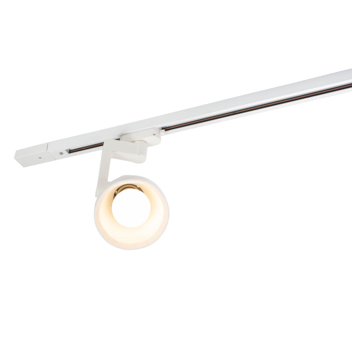 Светильник на шине Denkirs DK6010-WH