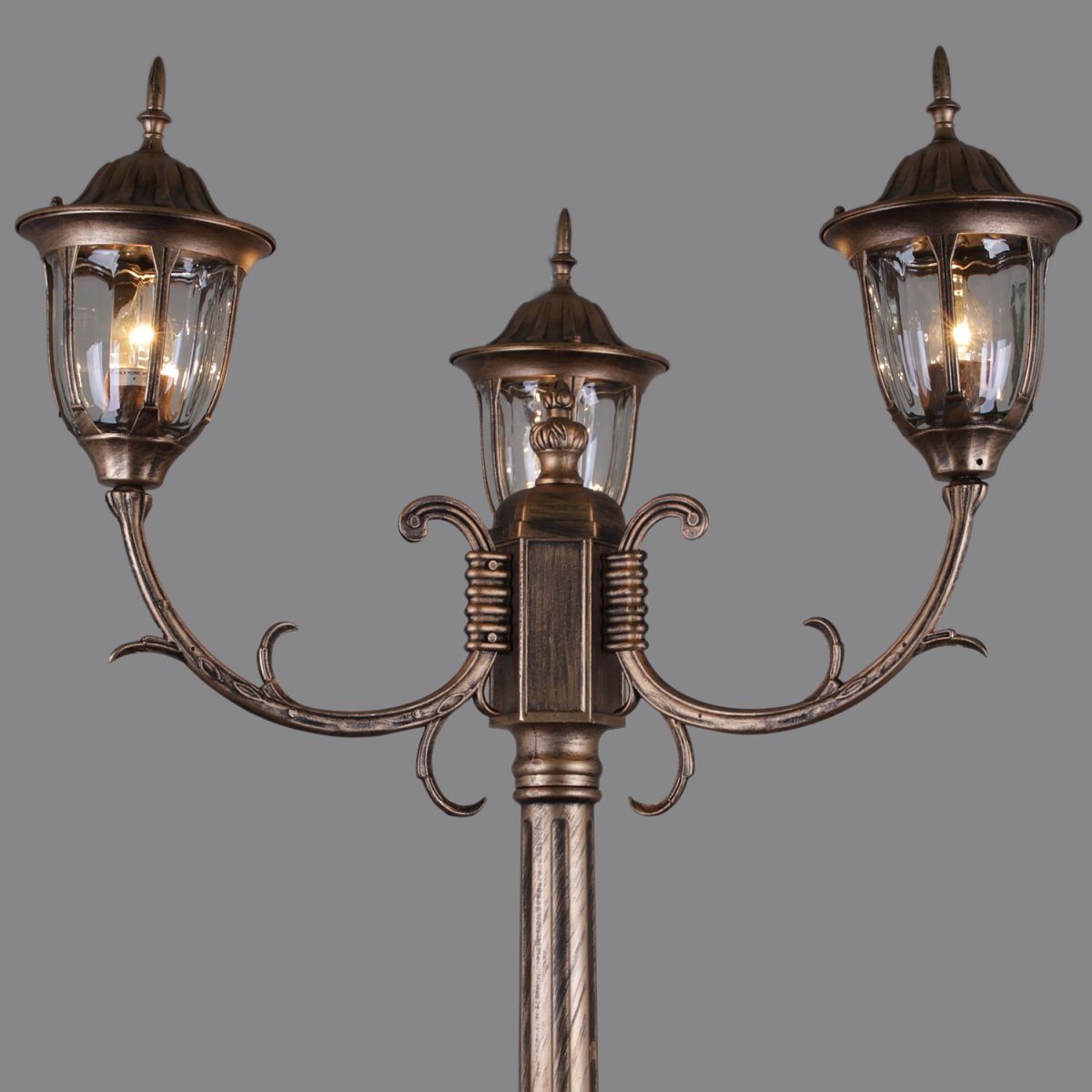 Парковый светильник Reluce 00867-0.7-003SL 2.0M BKG