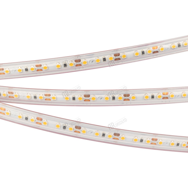 Светодиодная лента Arlight RTW 2-5000 3528 028547