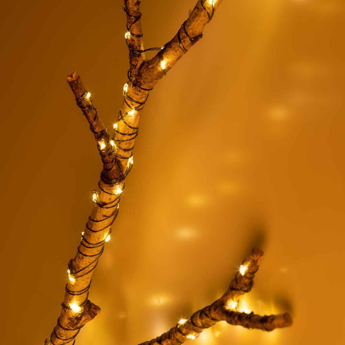 Светодиодная гирлянда Эра ENIN-2000G Б0060426