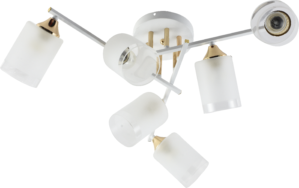 Потолочная люстра Rivoli Georgiana 9144-205 Б0055879