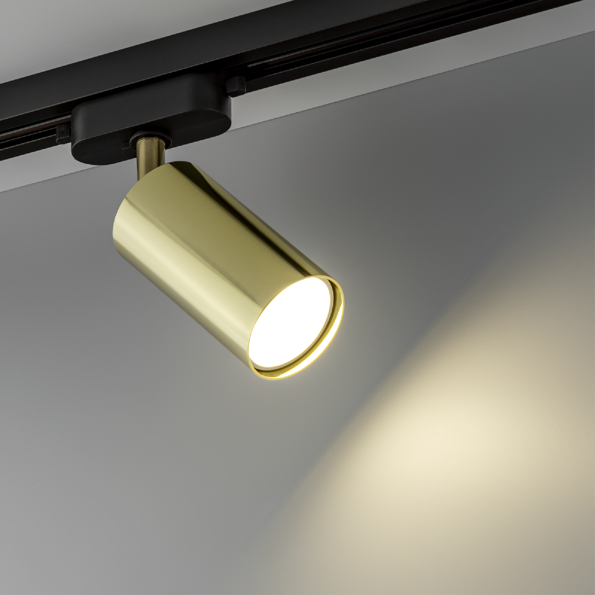 Трековый однофазный светильник Ritter Artline 59878 1