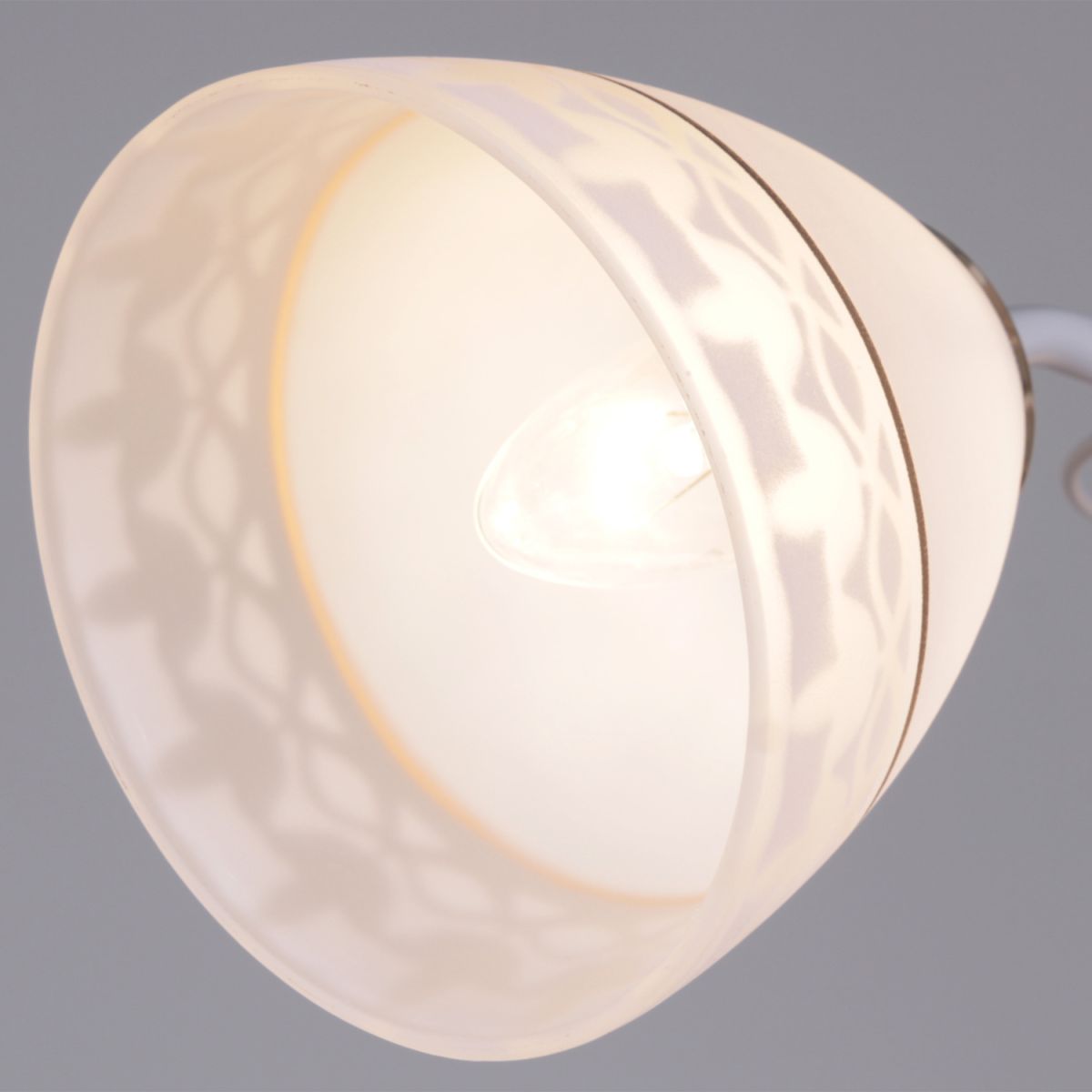 Потолочный светильник Reluce 11460-0.3-02 WH+FG