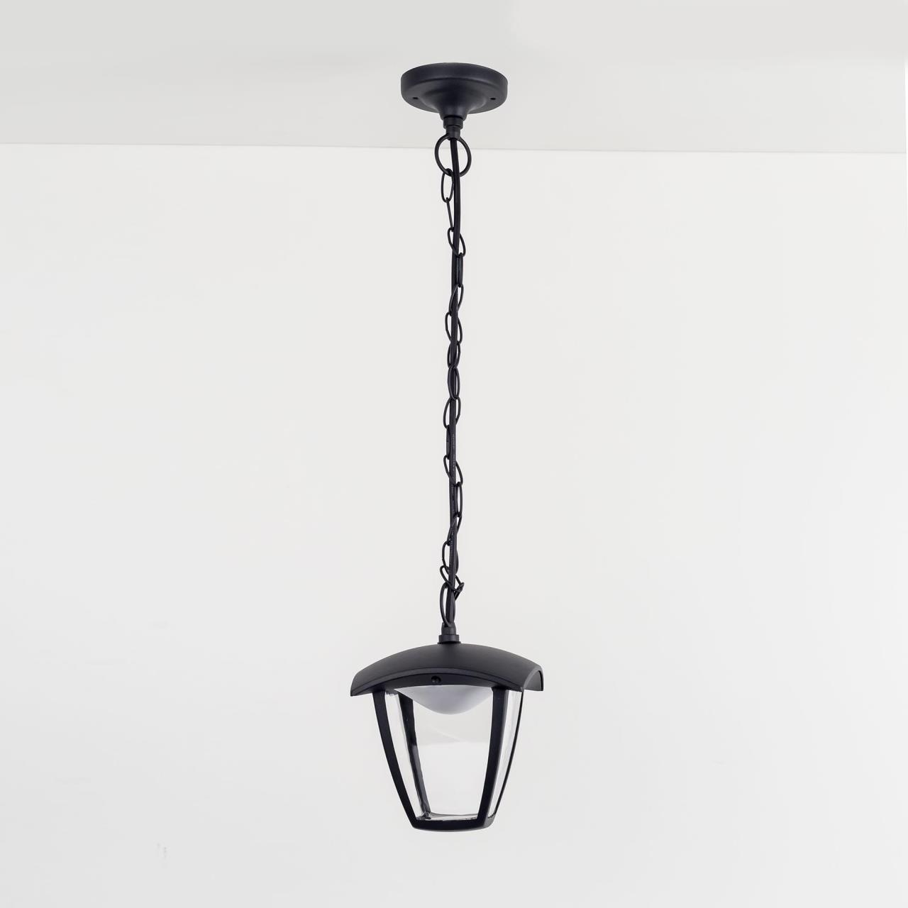 Уличный подвесной светодиодный светильник Citilux CLU04P