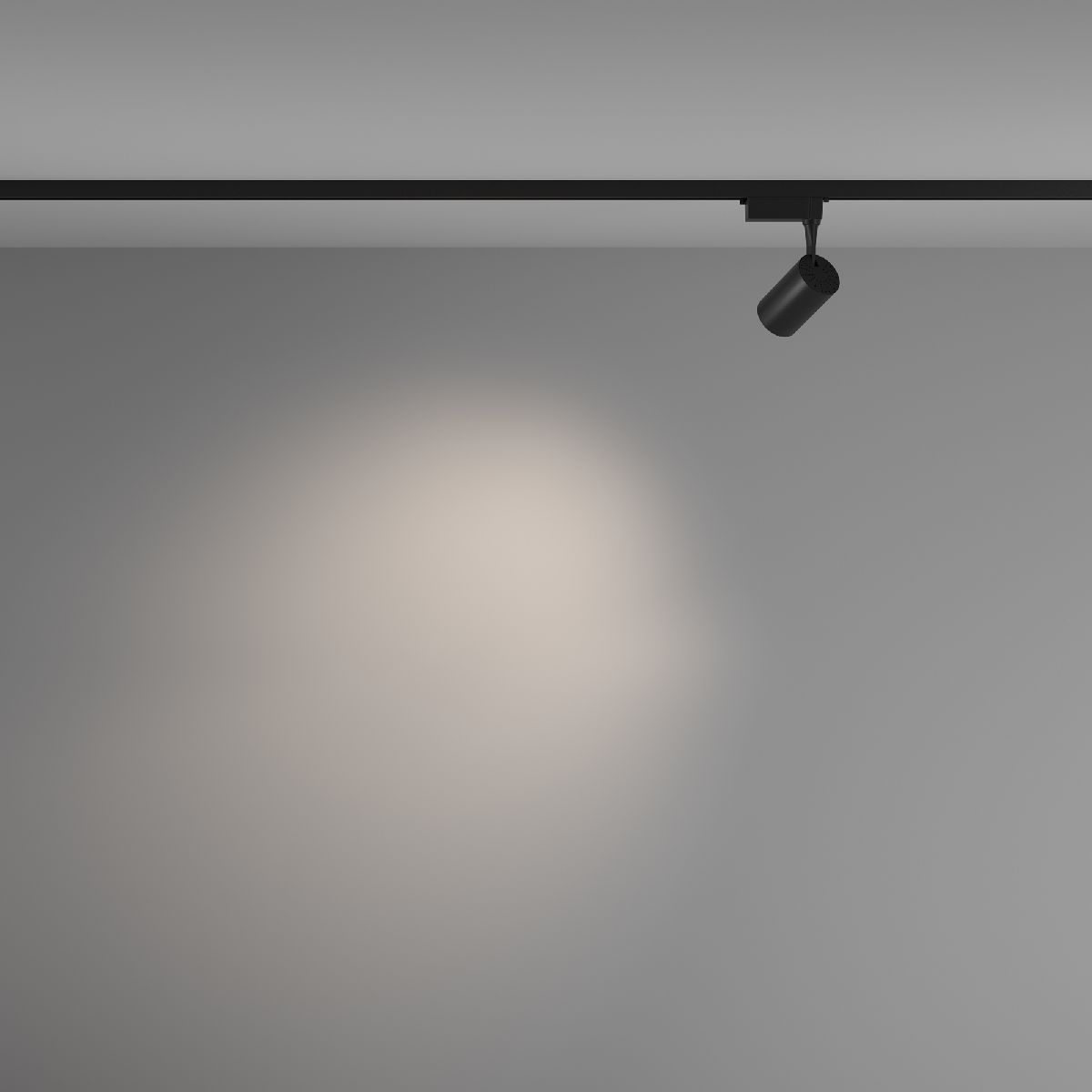 Трековый светильник Maytoni Technical Vuoro TR003-1-6W4K-M-B