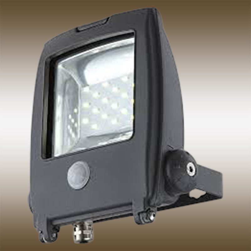 Прожектор светодиодный с датчиком движения Globo Projecteur I 34218S