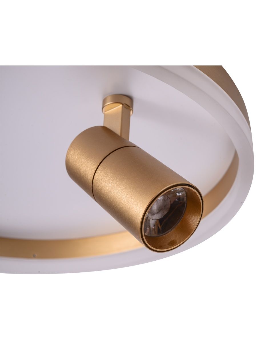 Потолочный светильник Zortes Raizy ZRS.1888.04