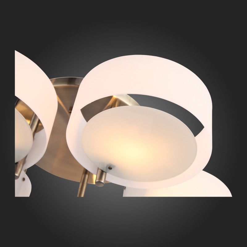 Накладная люстра ST-Luce SL483.352.05