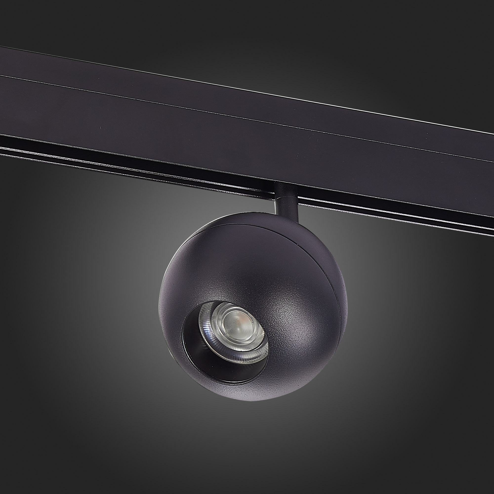 Трековый светильник ST Luce Bole ST354.446.12