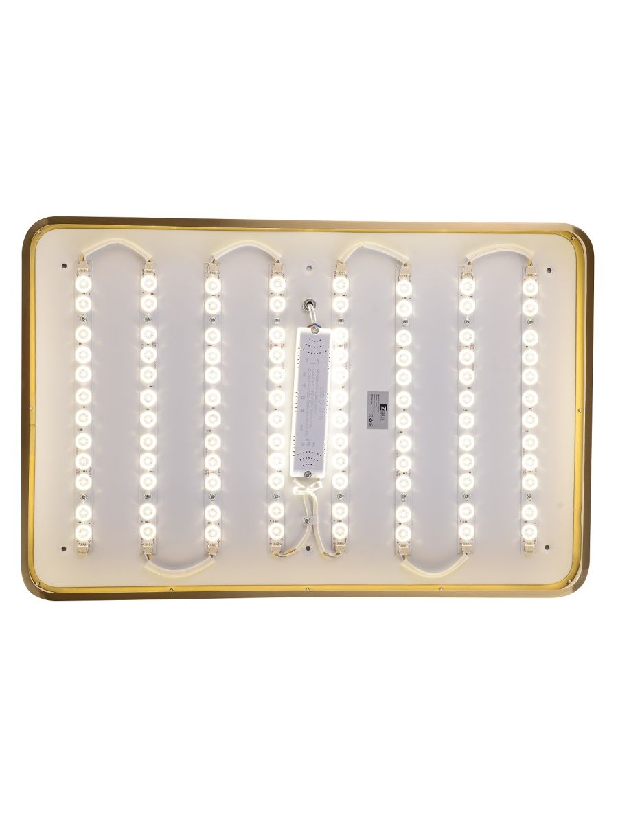 Потолочный светильник Zortes Monna ZRS.1209.09