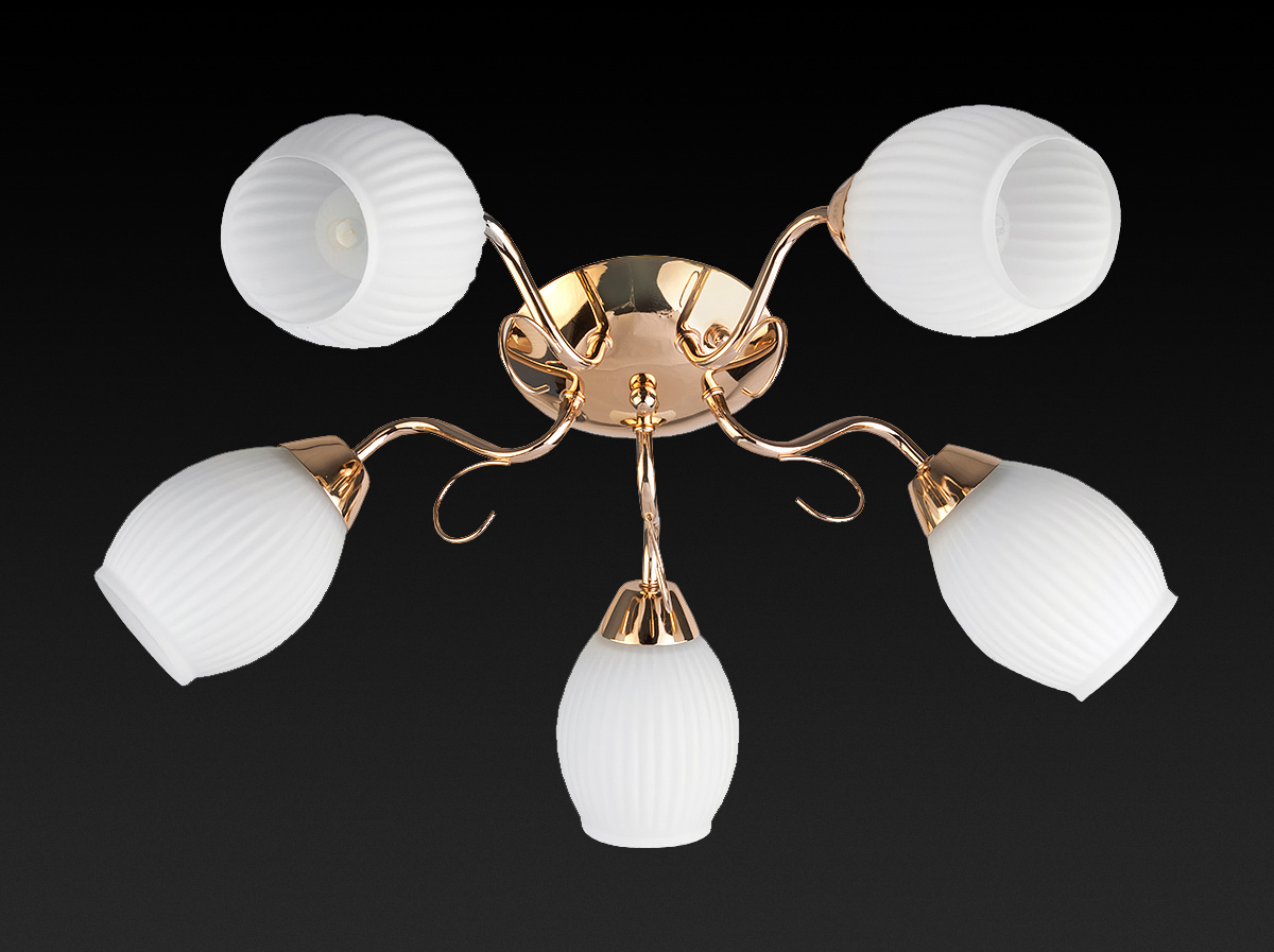 Потолочная люстра Toplight Kristin TL3520X-05FG