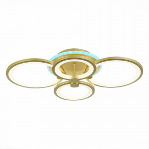 Потолочный светодиодный светильник Evoluce Intensity SLE900022-04RGB