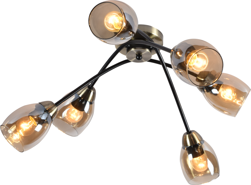 Потолочная люстра Rivoli Naiara 9138-306 Б0054899