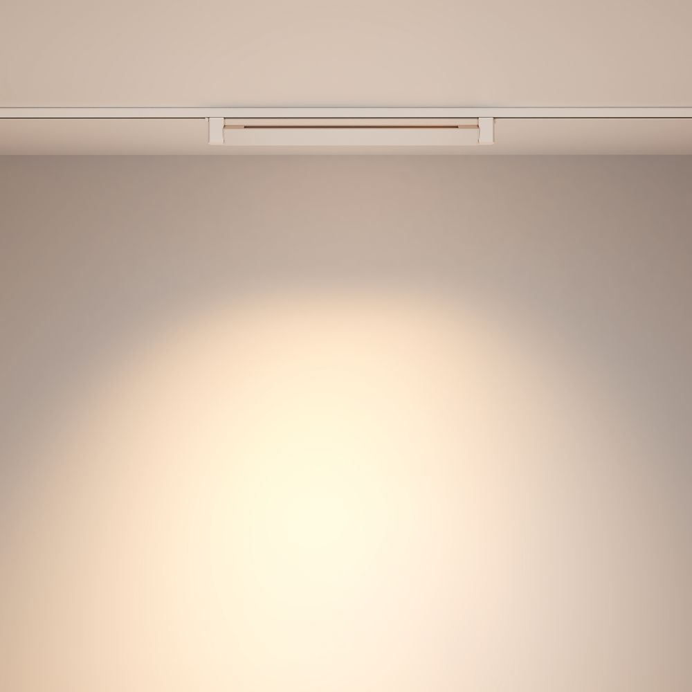 Трековый однофазный светильник Maytoni Points Rot TR010-1-20W4K-M-W