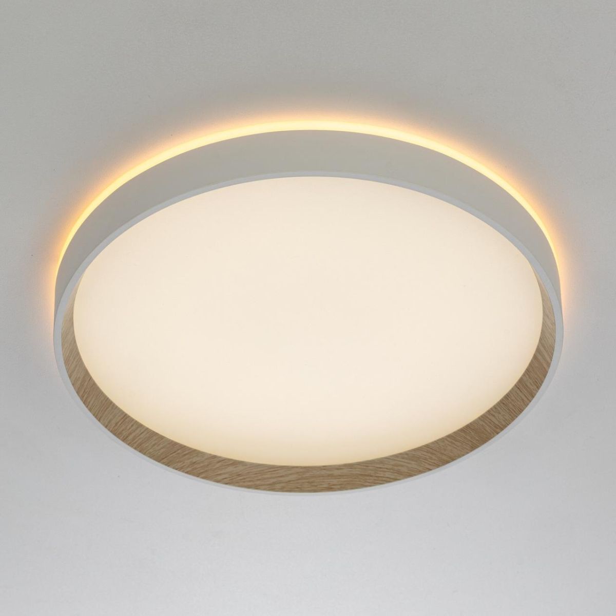 Накладной светильник Citilux Etalon CL750320R