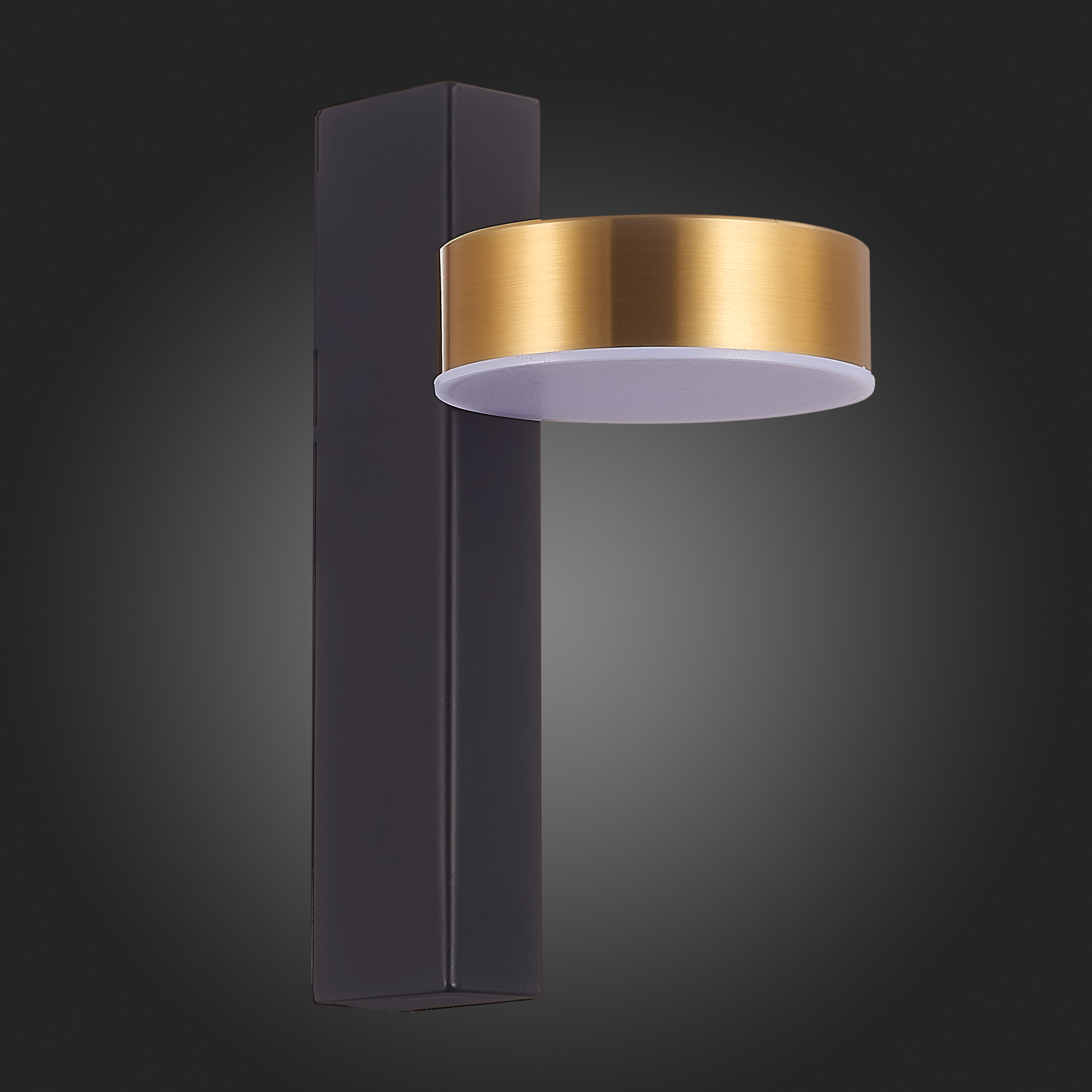 Латунное бра ST Luce Pances SL6000.301.01