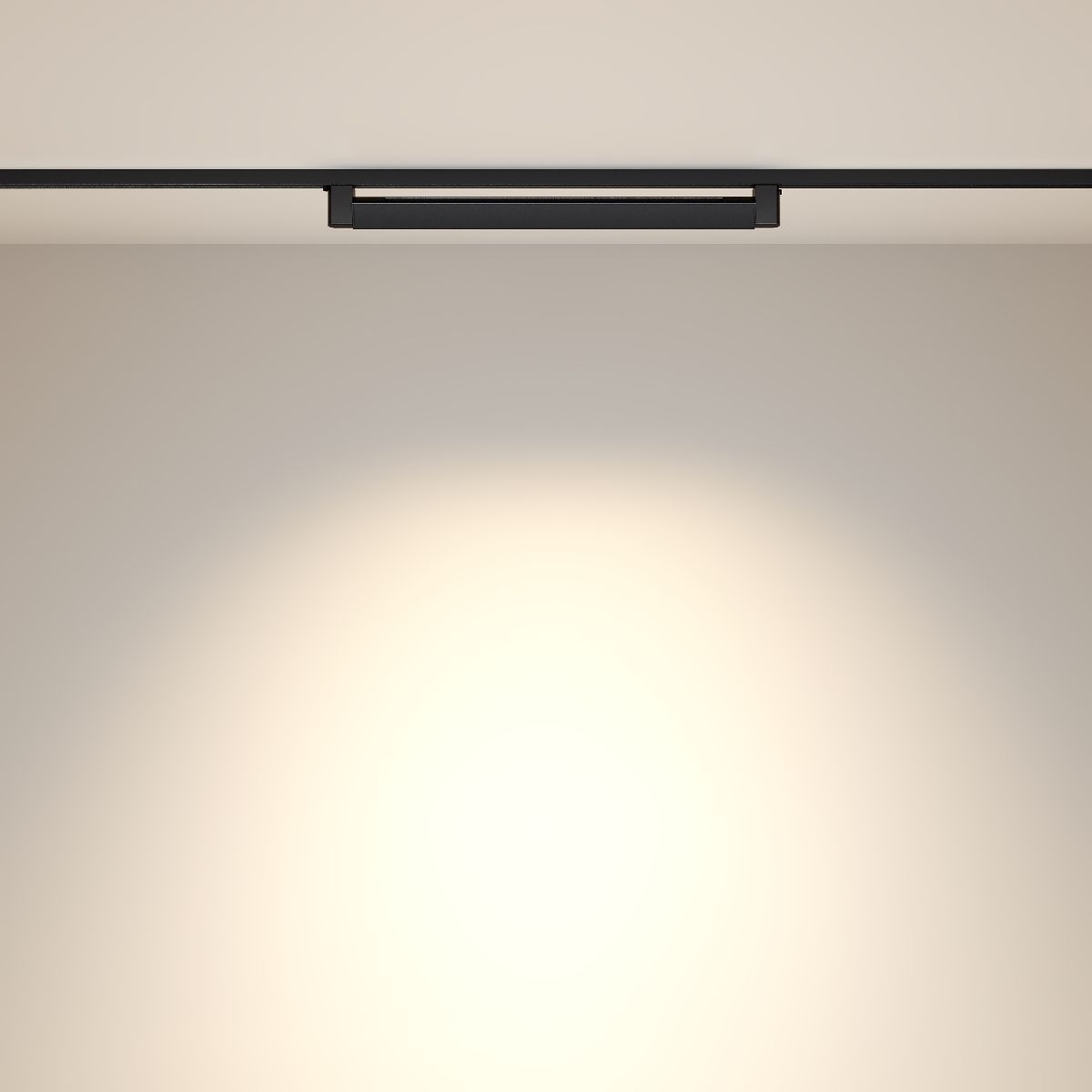 Трековый однофазный светильник Maytoni Points Rot TR010-1-20W3K-M-B