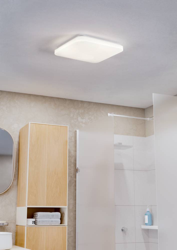 Настенно-потолочный светильник Eglo Frania-Ip 902076