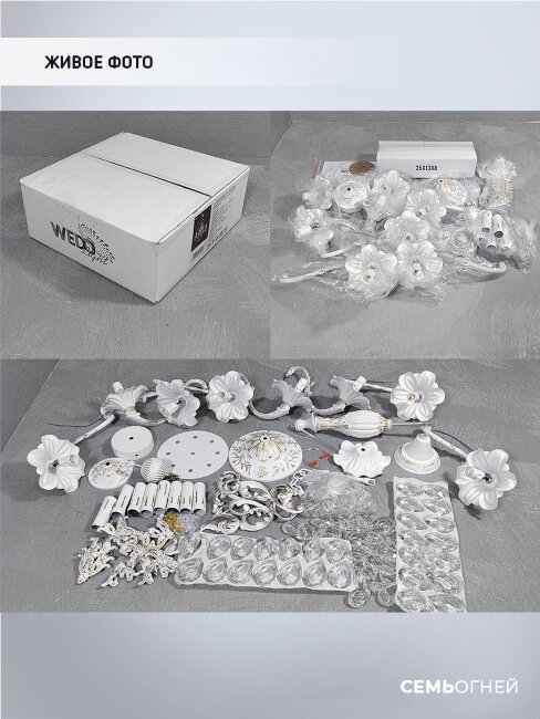 Подвесная люстра Wedo Light Joana WD3533/8H-WG-CL