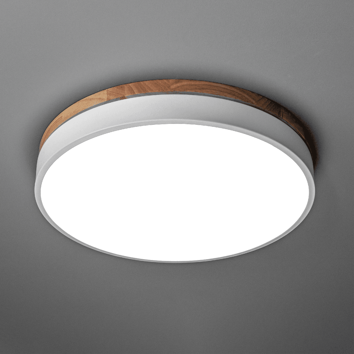 Потолочный светильник Ritter Snello 51623 5