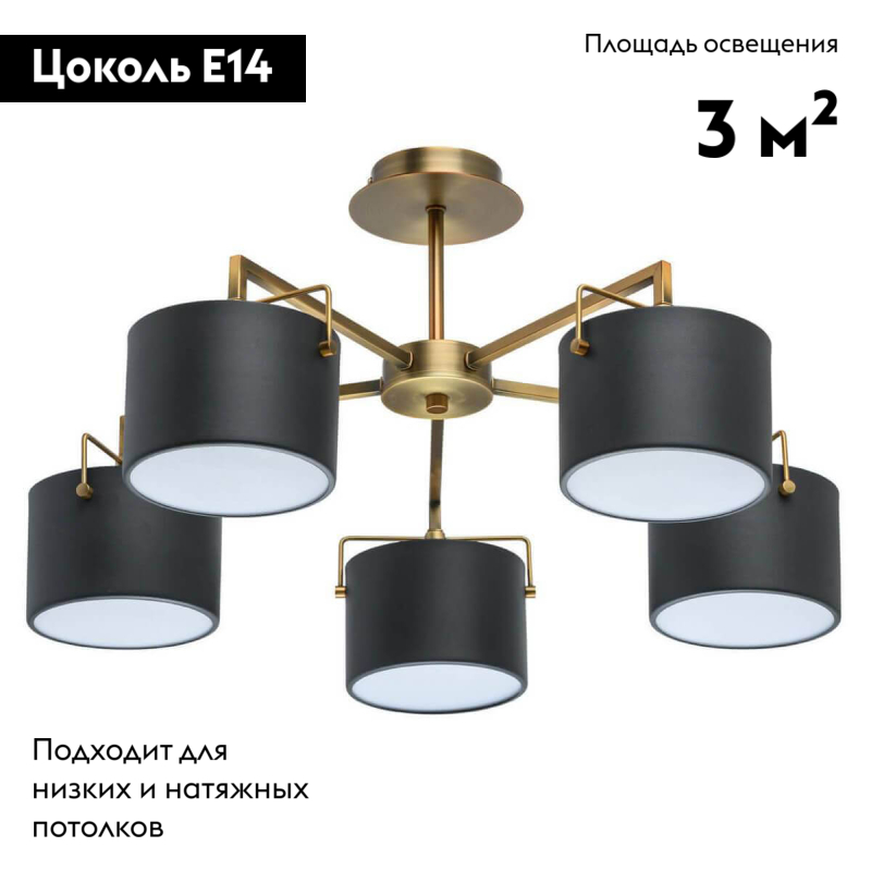 Потолочная люстра MW-Light Сайрус 2 721010205