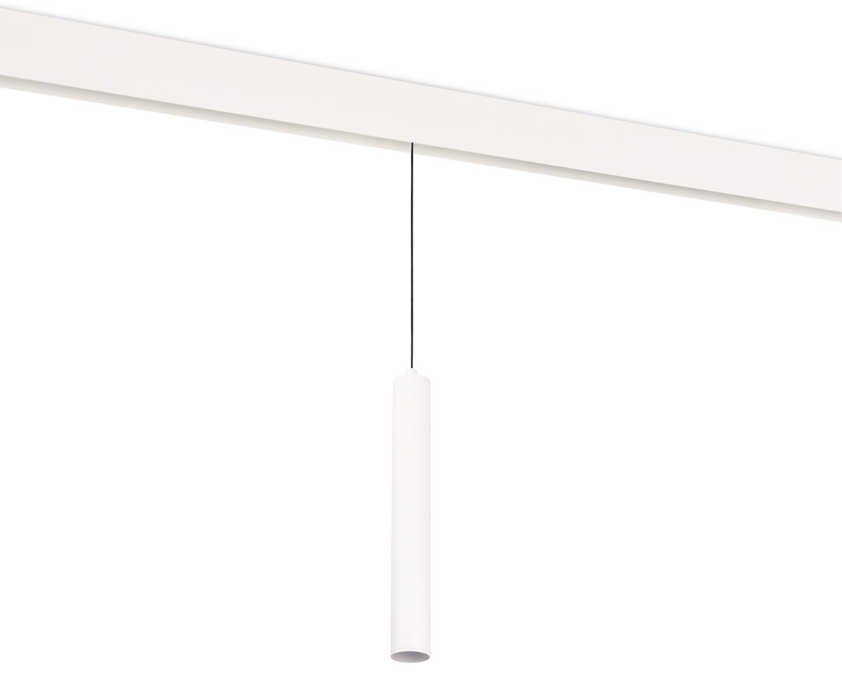 Трековый светильник Donolux Charm DL20296WW10WS