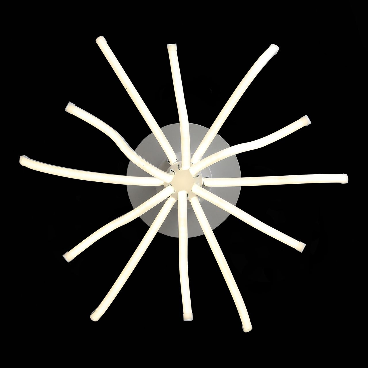 Потолочный светодиодный светильник ST Luce Finde SL826.502.12