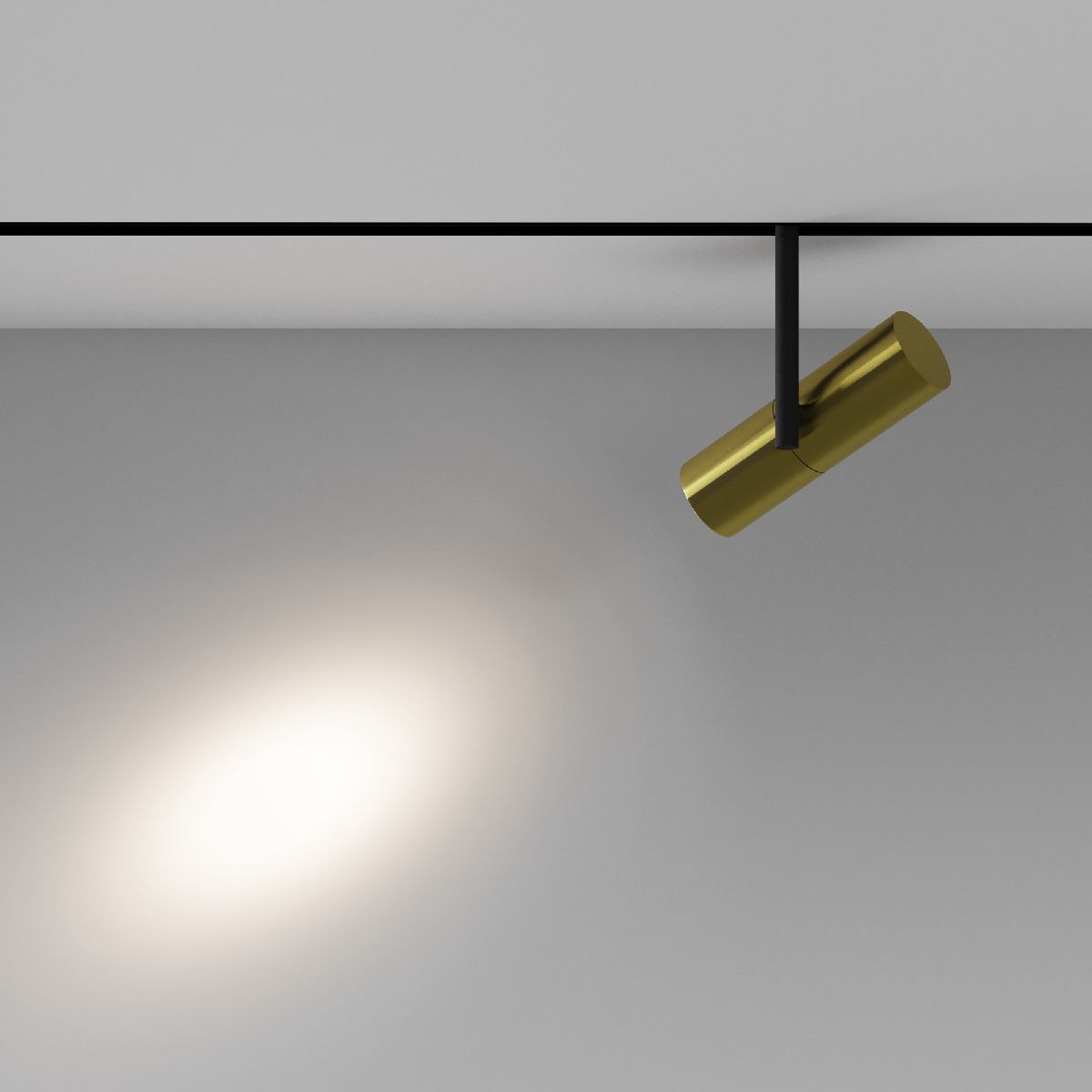 Трековый магнитный светильник Maytoni Elti TR005-2-12W4K-BBS