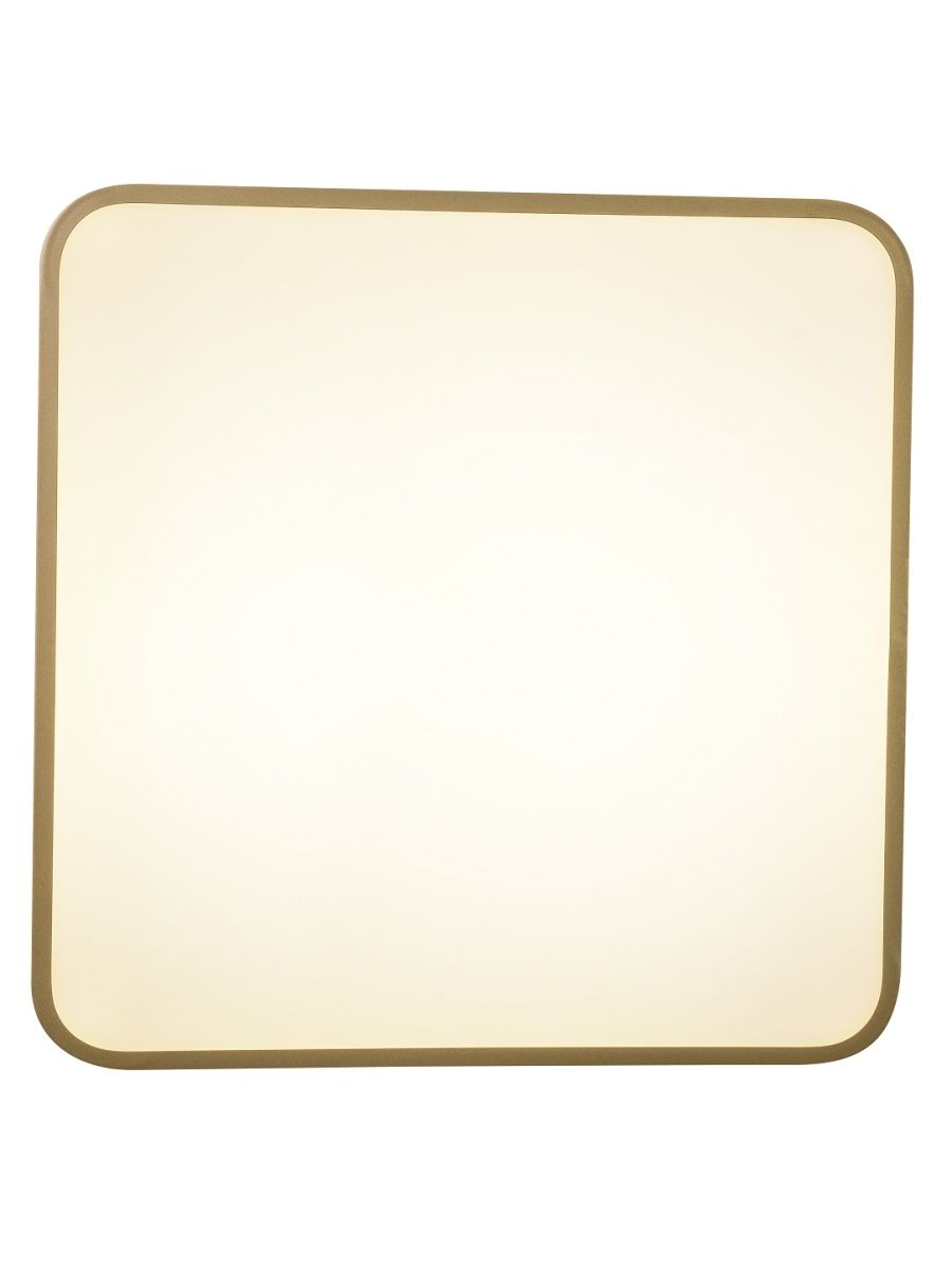 Потолочный светильник Zortes Gabby ZRS.1215.03