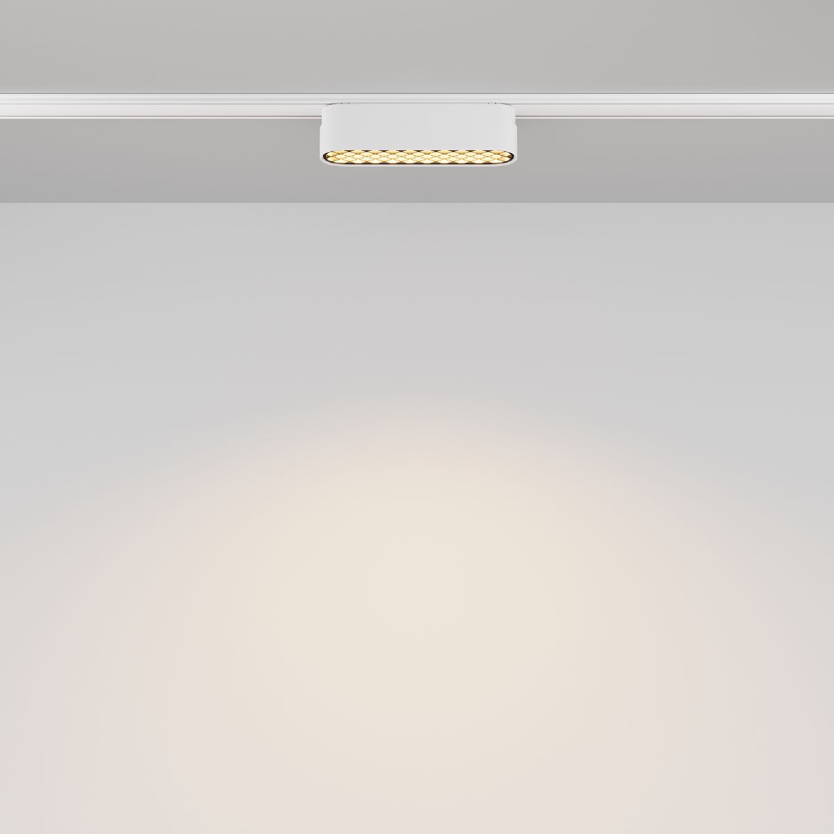 Трековый магнитный светильник Maytoni Basis Grid TR084-1-6W3K-W