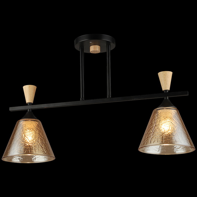 Потолочный светильник Reluce 04864-0.3-02 BK+WOOD