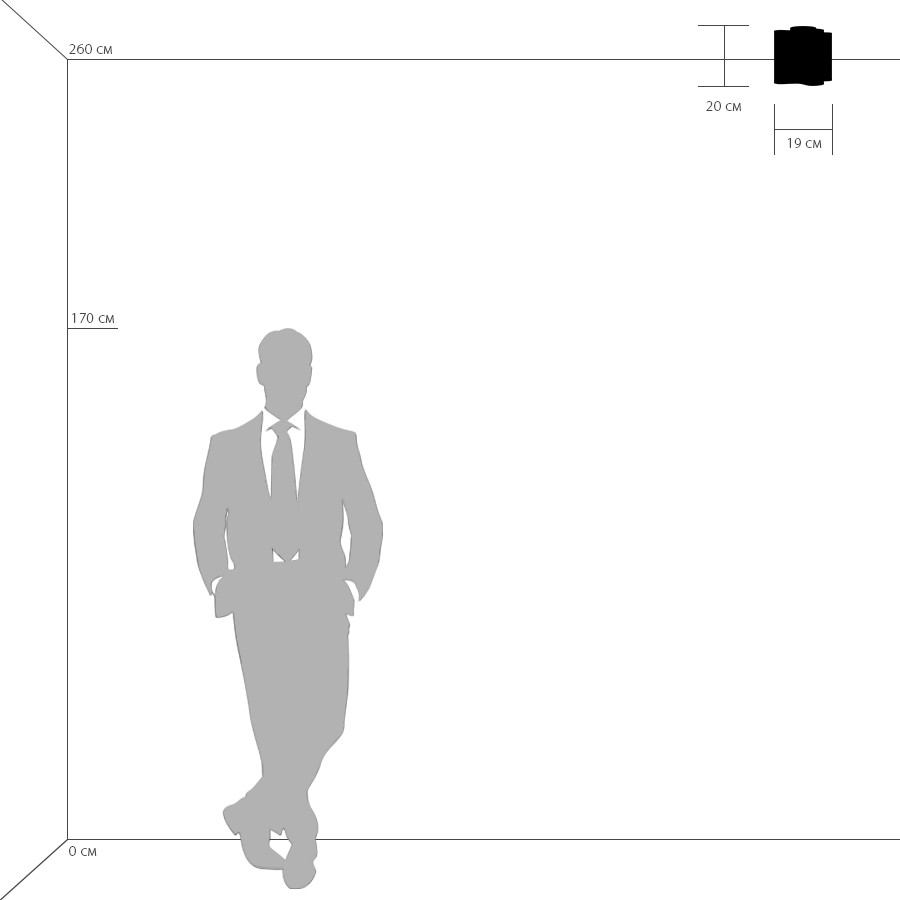 Потолочный светильник Lightstar Nubi 802010 УЦ