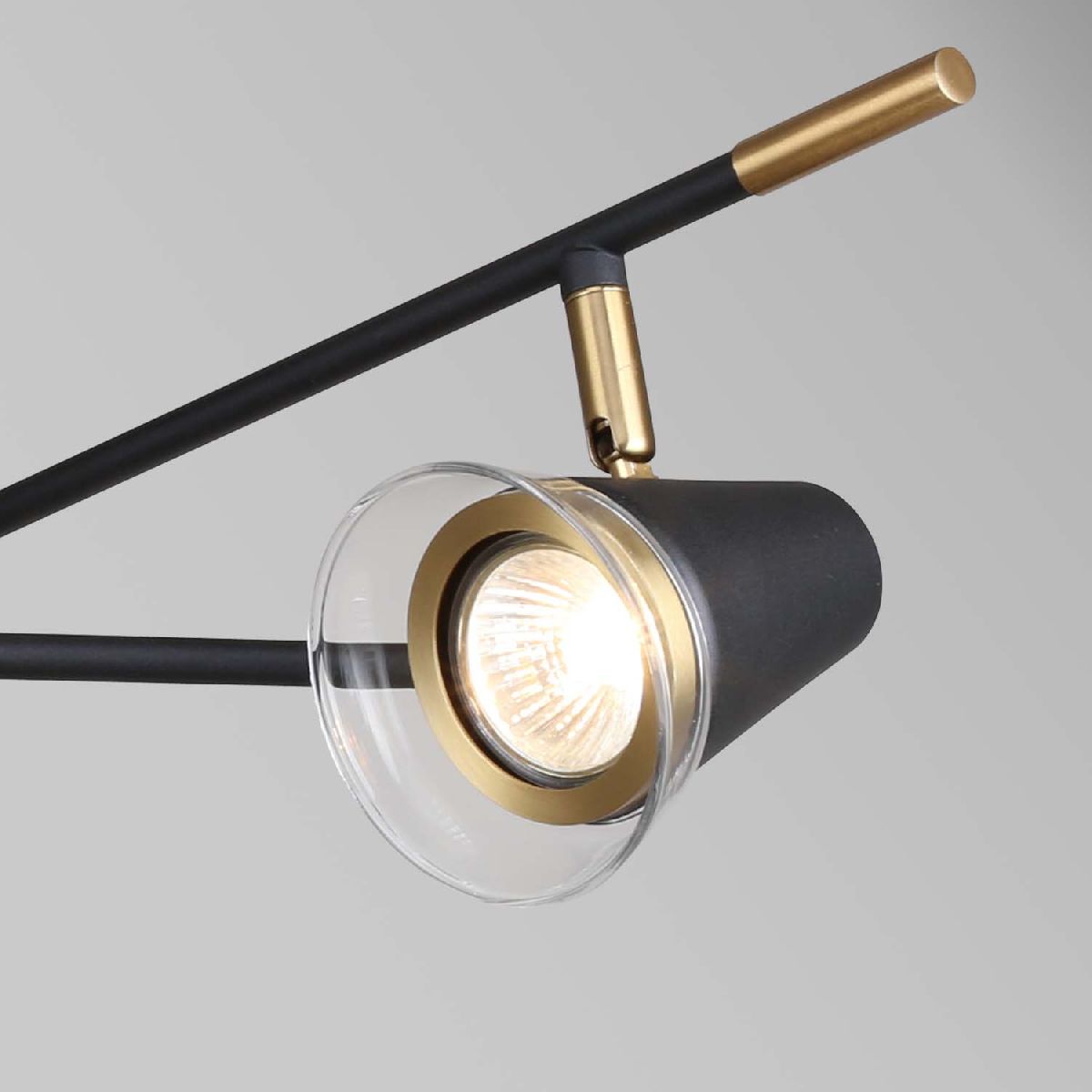 Потолочная светодиодная люстра F-Promo Trandy 4618-3C