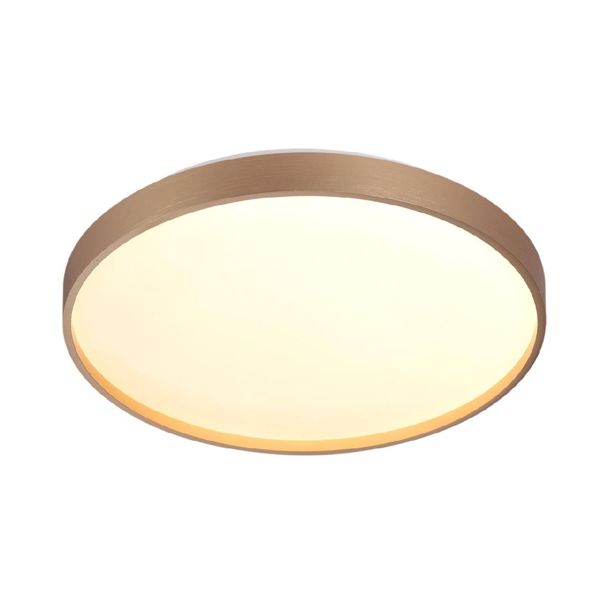 Настенно-потолочный светильник Sonex Tan Gaby 7783/DL