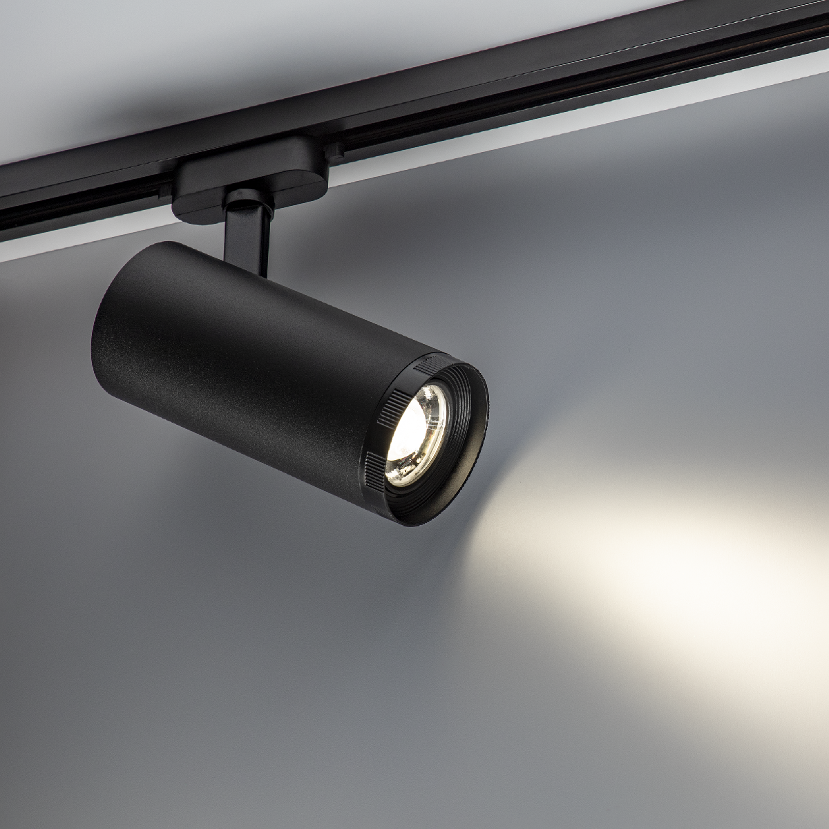Трековый однофазный светильник Ritter Artline 59742 5