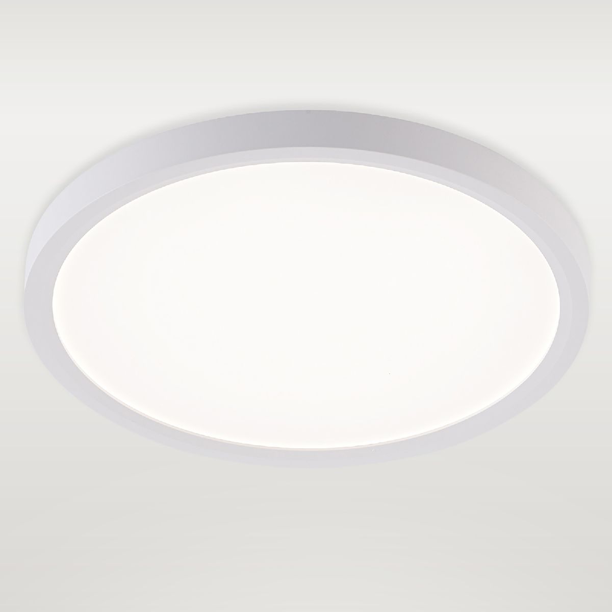 Потолочный светильник Natali Kovaltseva Plain LED LAMPS 81113/2C